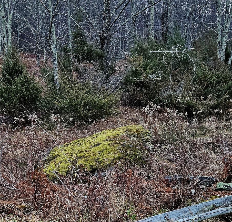 #5 photo, 295 Pleasant Valley Road, North Branch , NY 12766