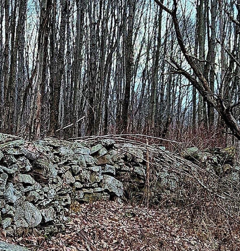 #7 photo, 295 Pleasant Valley Road, North Branch , NY 12766