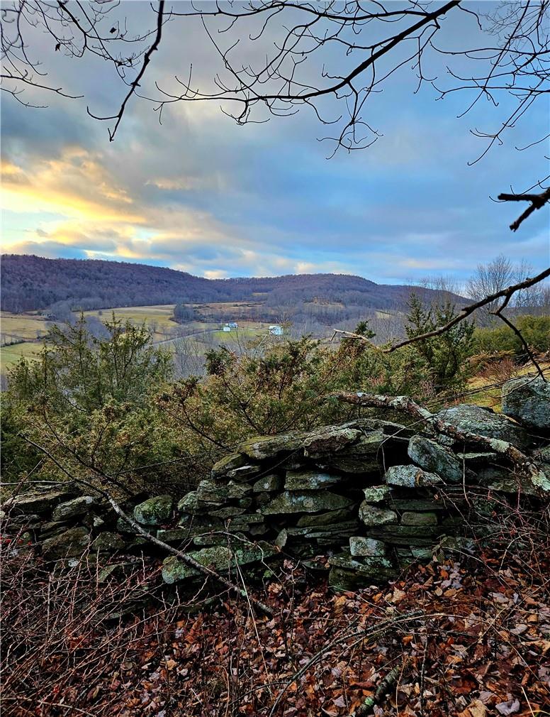 #9 photo, 295 Pleasant Valley Road, North Branch , NY 12766