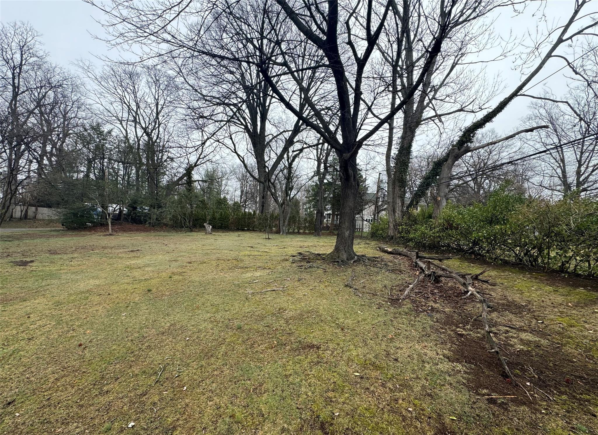 #3 photo, 71 Horace Harding Boulevard, ナッソー郡 Great Neck , NY 11020