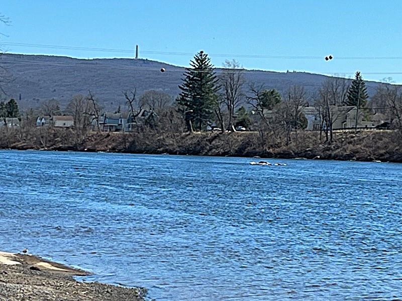 #8 photo, 1 River Street, Port Jervis , NY 12771