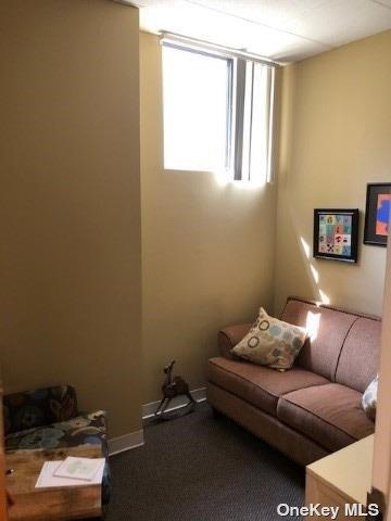 #8 photo, 144 Woodbury Road, ナッソー郡 Woodbury , NY 11797