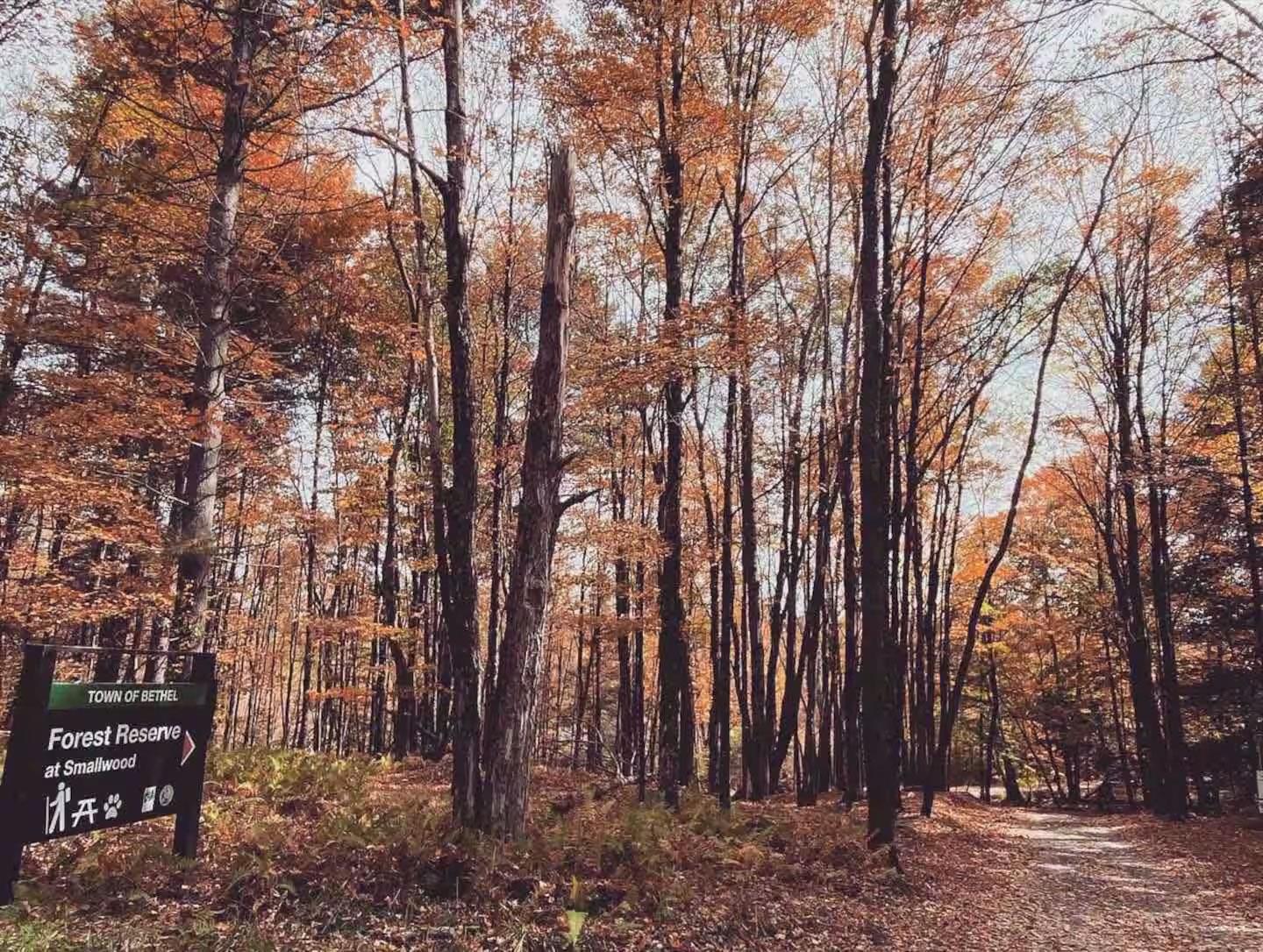 #16 photo, 36 W Read Avenue, Smallwood , NY 12720