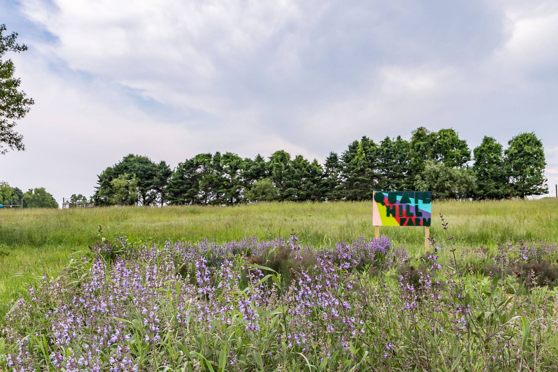 #17 photo, 44 Cliff Road, サフォーク郡 East Hampton , NY 11937