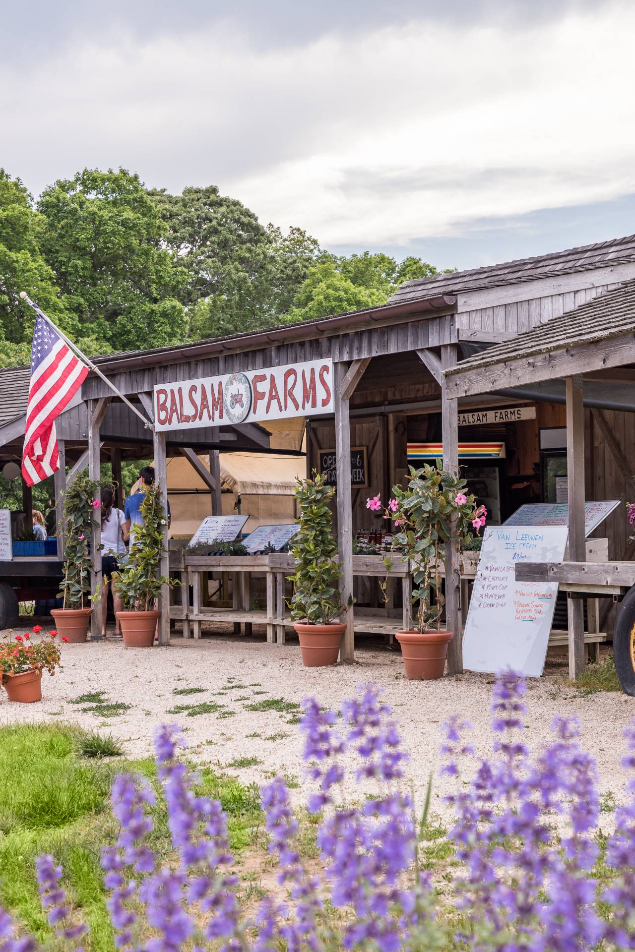 #18 photo, 44 Cliff Road, サフォーク郡 East Hampton , NY 11937