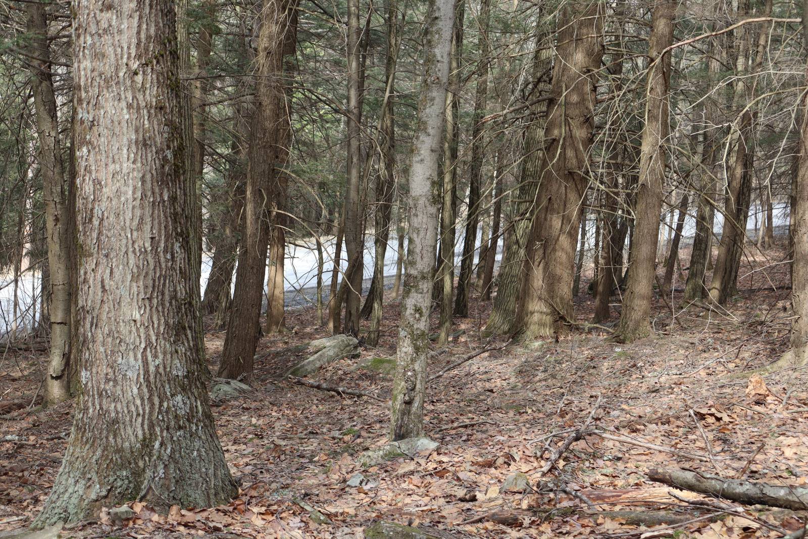 #12 photo, Tbd Terrace Drive, Lexington , NY 12468