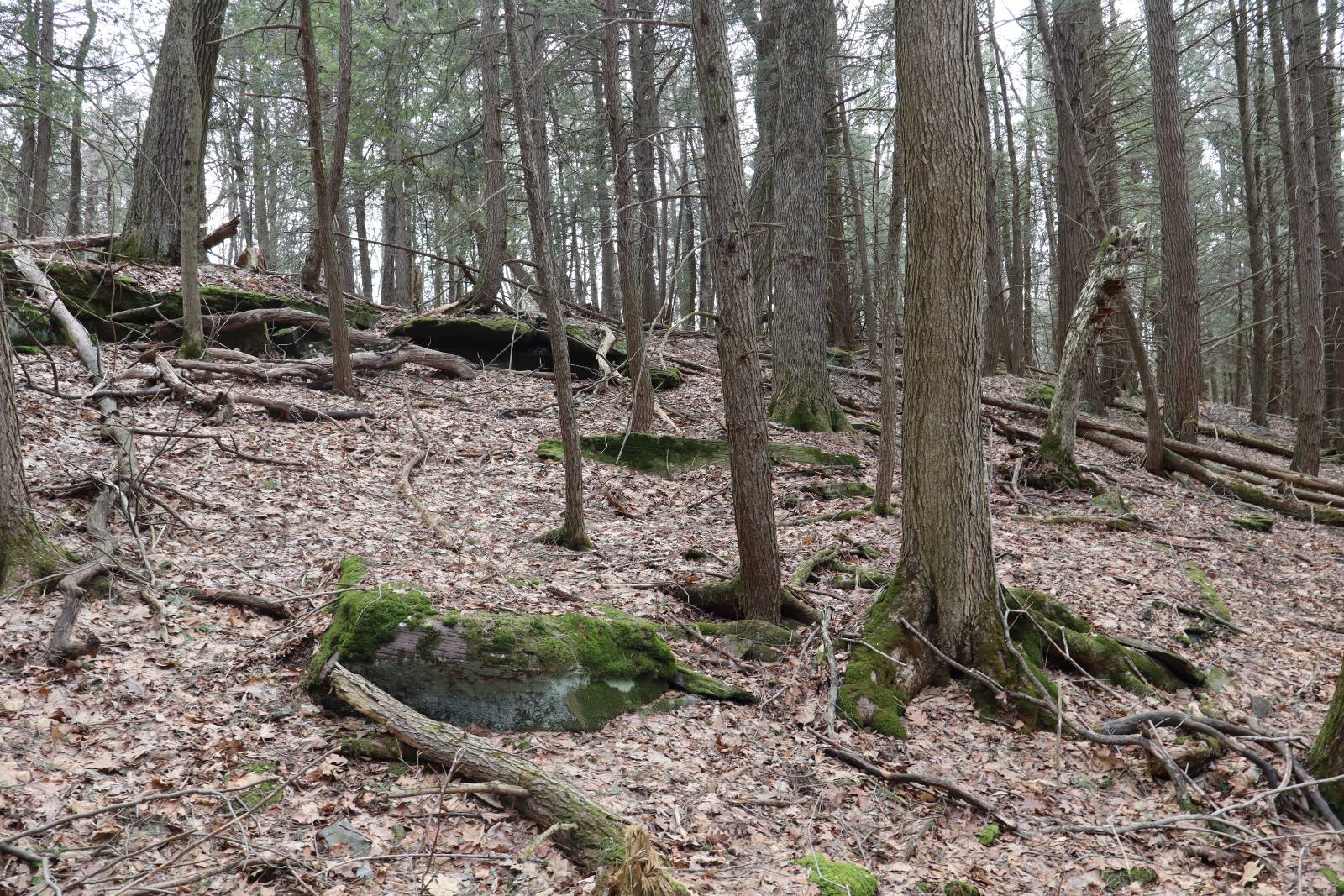 #19 photo, Tbd Terrace Drive, Lexington , NY 12468