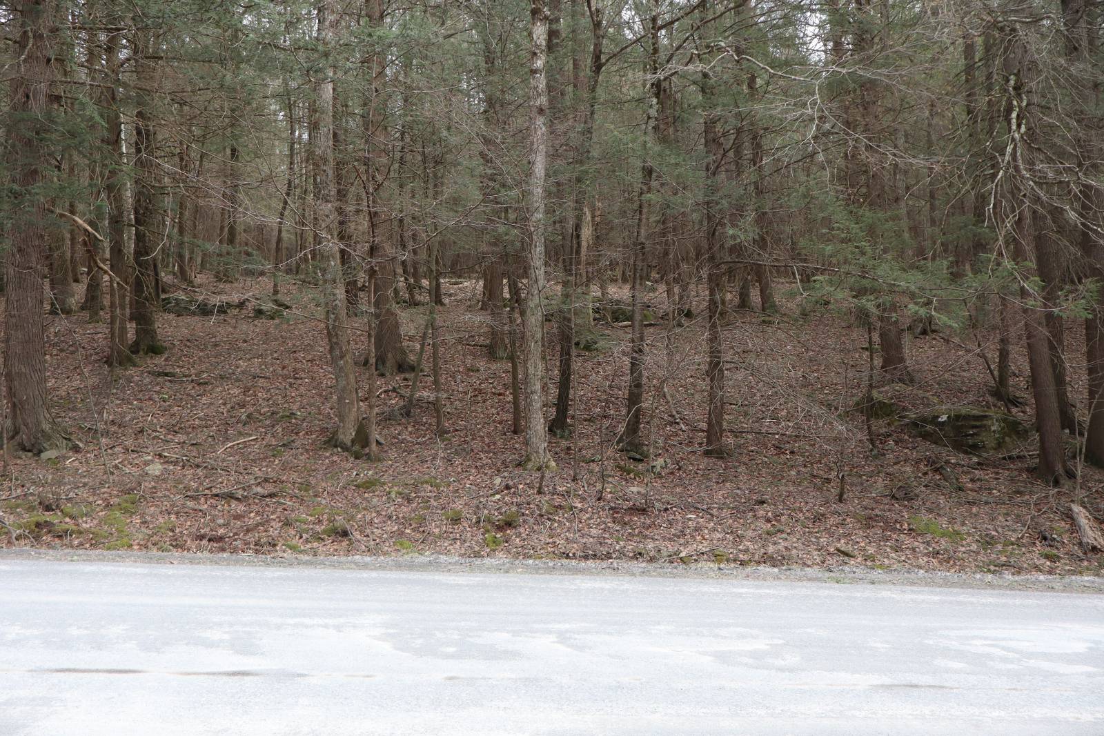 #2 photo, Tbd Terrace Drive, Lexington , NY 12468