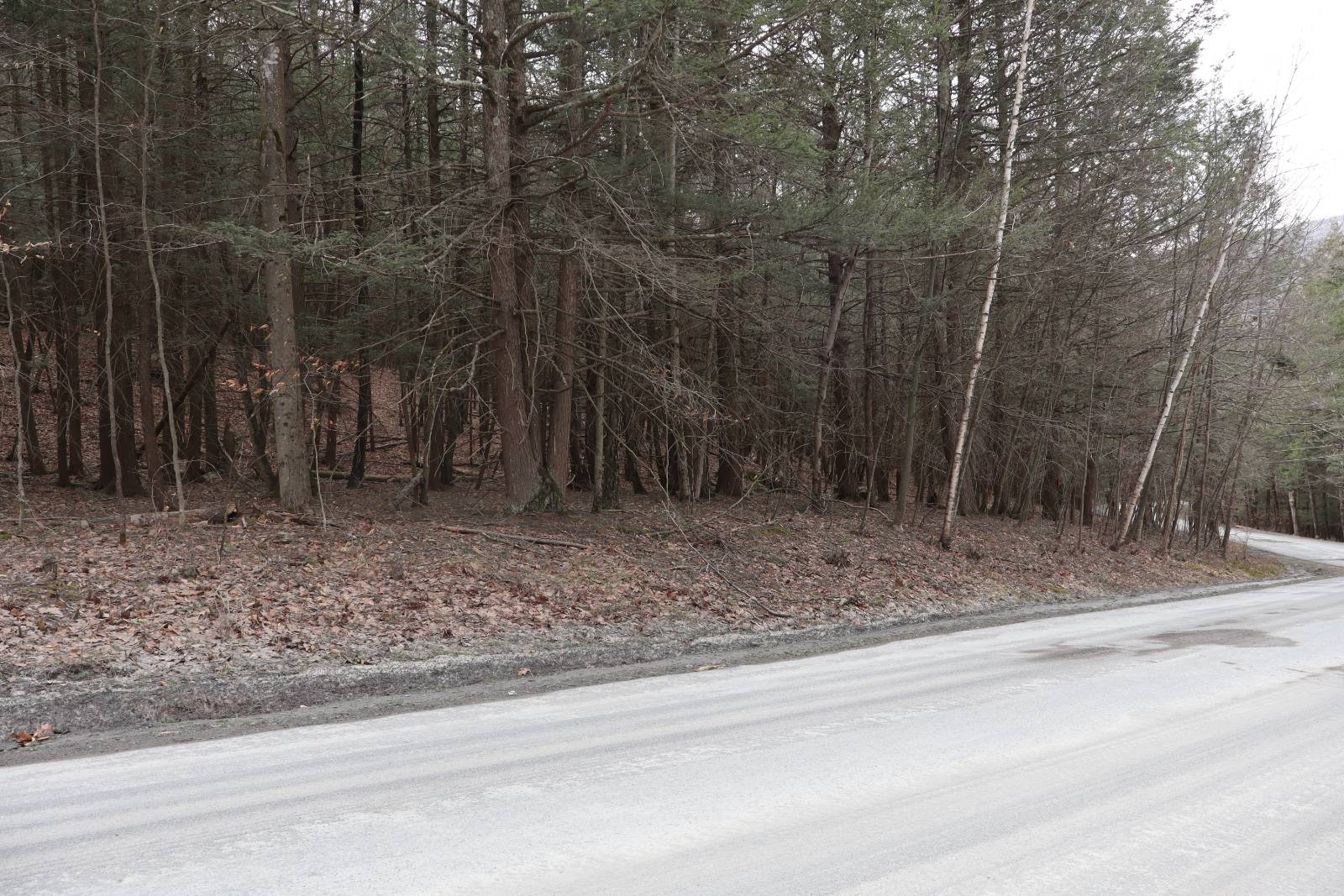 #25 photo, Tbd Terrace Drive, Lexington , NY 12468