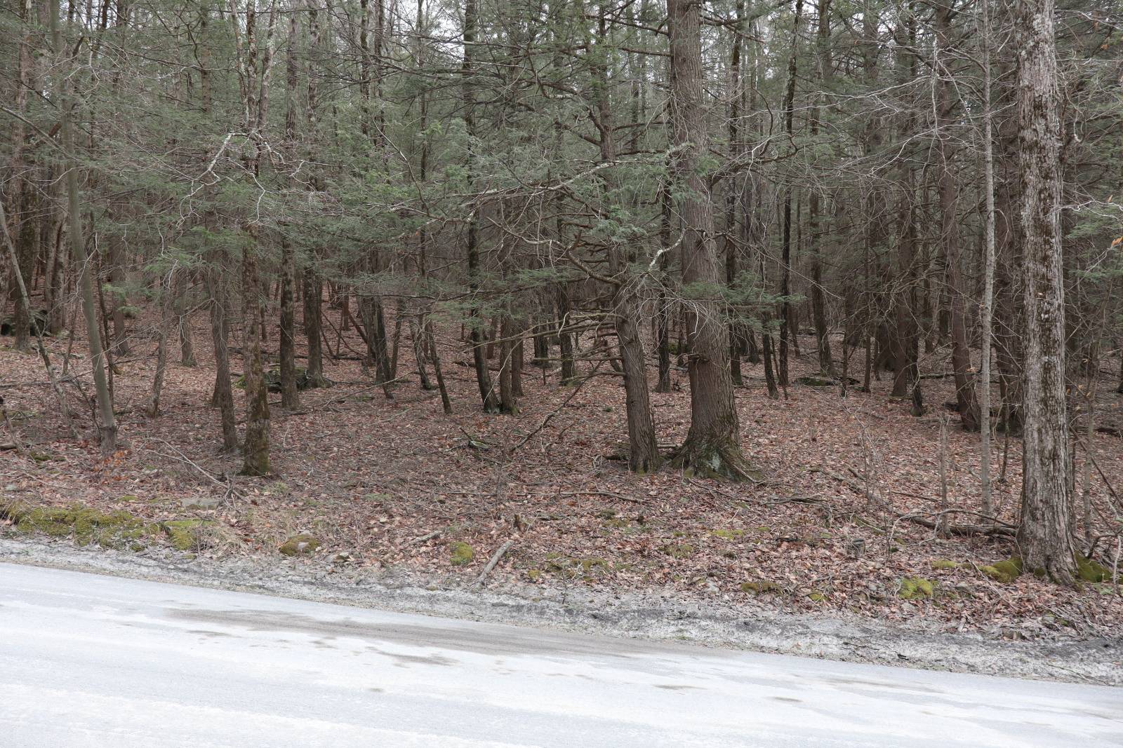 #26 photo, Tbd Terrace Drive, Lexington , NY 12468