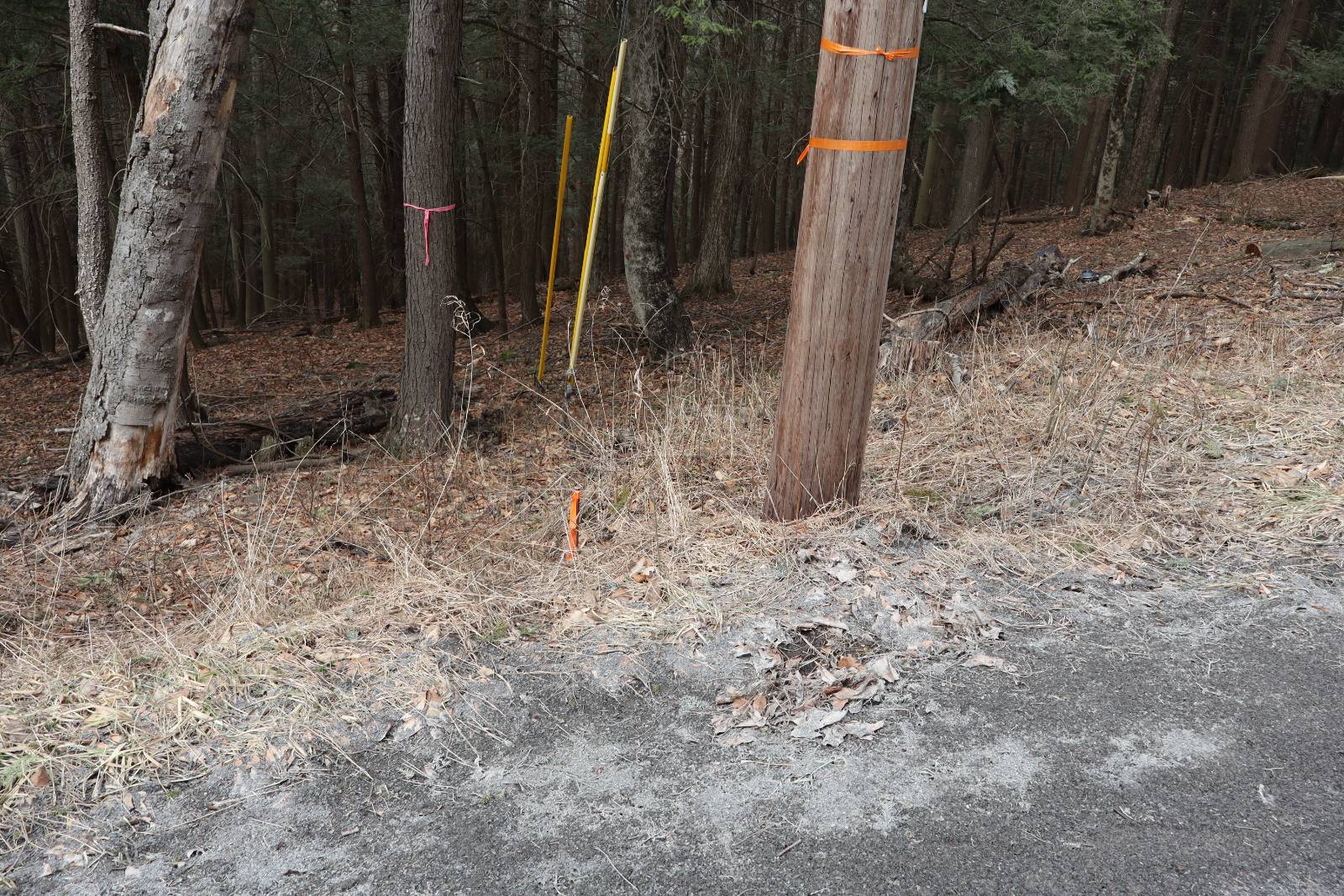 #27 photo, Tbd Terrace Drive, Lexington , NY 12468