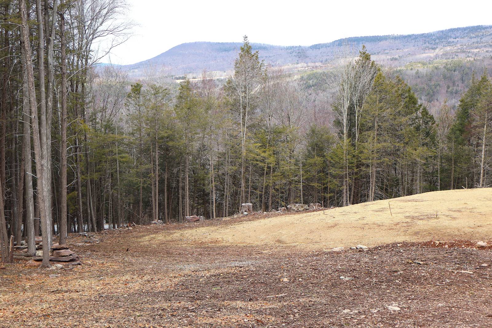 #30 photo, Tbd Terrace Drive, Lexington , NY 12468