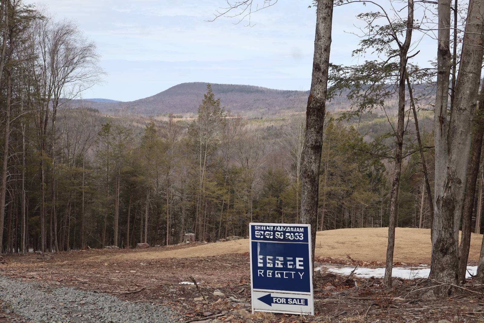 #31 photo, Tbd Terrace Drive, Lexington , NY 12468