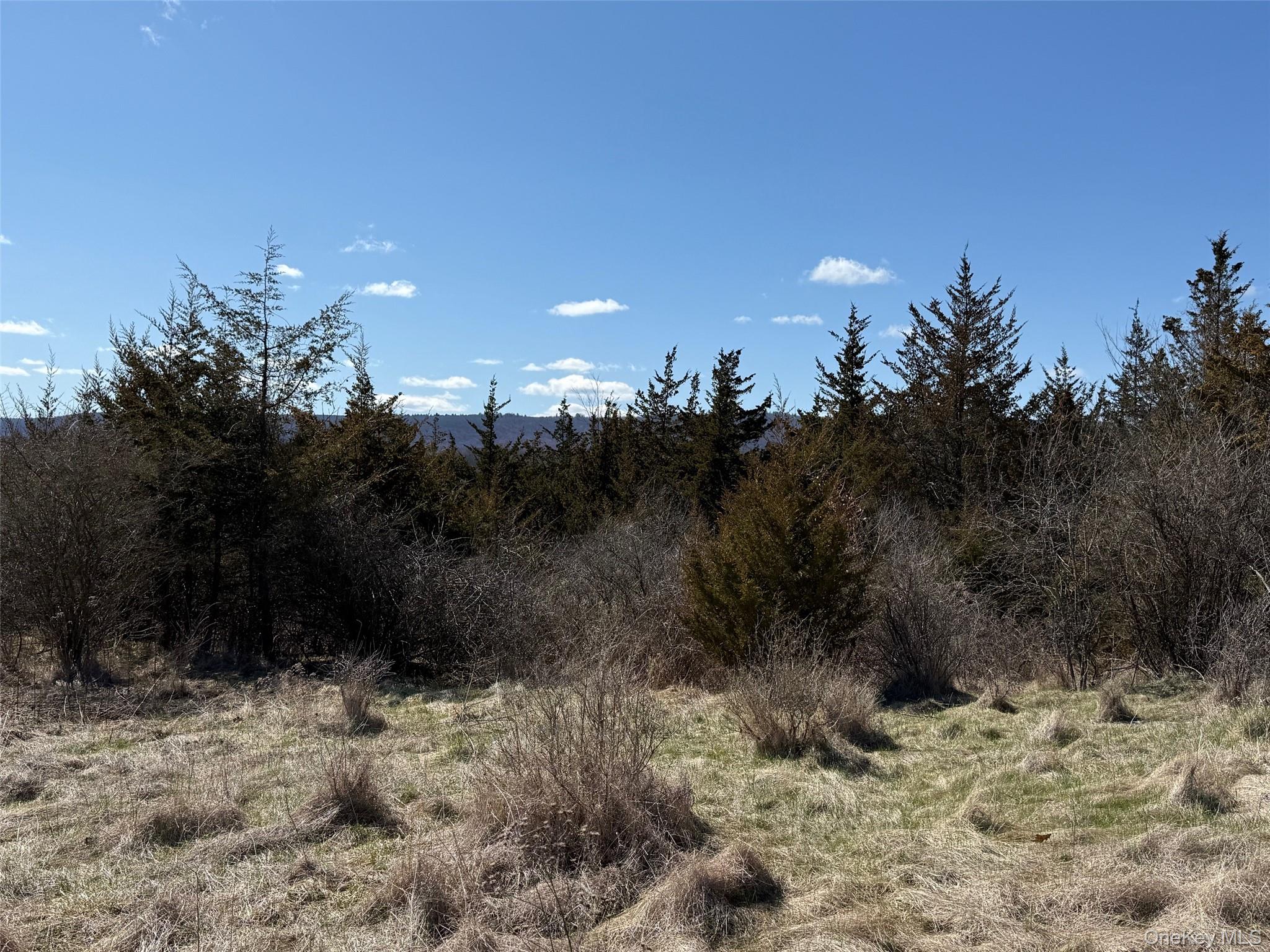 #13 photo, #2 Lot #2 Westerly Ridge Drive, Amenia , NY 12501