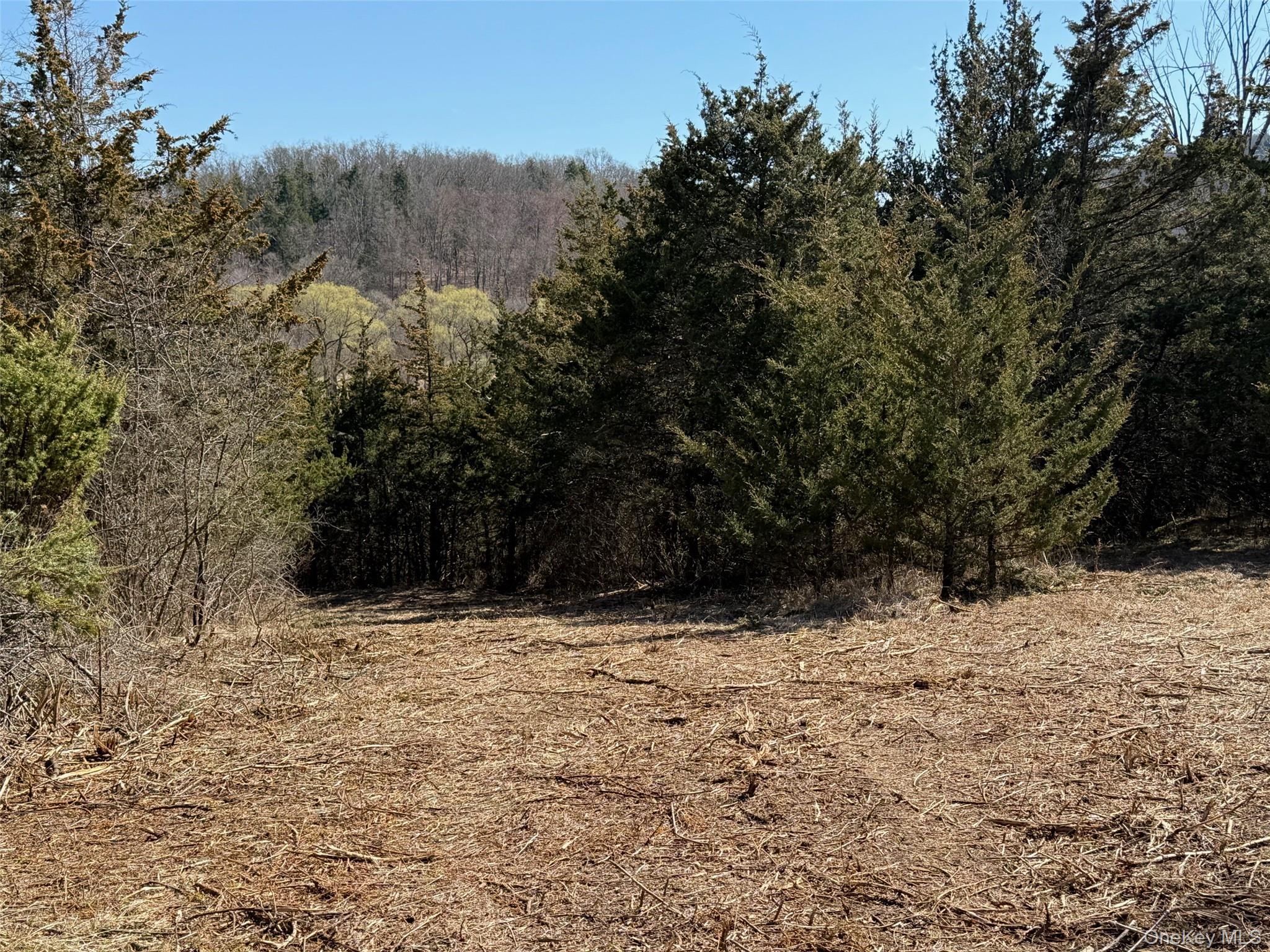 #16 photo, #2 Lot #2 Westerly Ridge Drive, Amenia , NY 12501