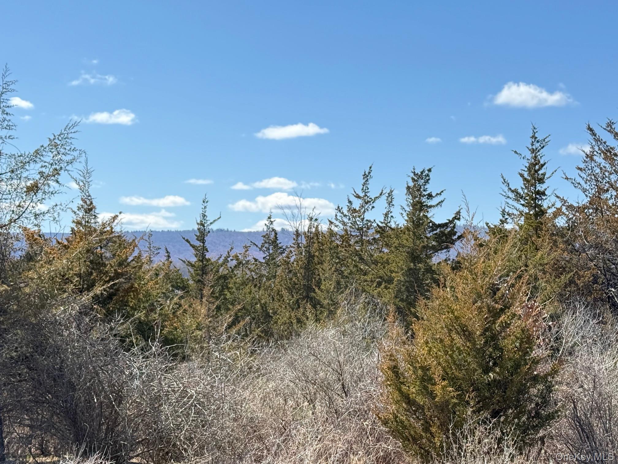 #3 photo, #2 Lot #2 Westerly Ridge Drive, Amenia , NY 12501