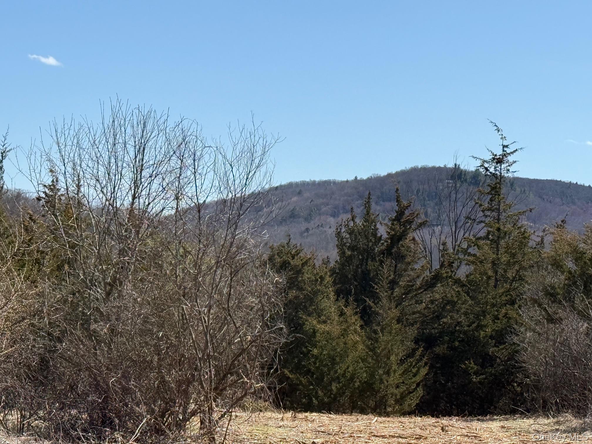 #5 photo, #2 Lot #2 Westerly Ridge Drive, Amenia , NY 12501