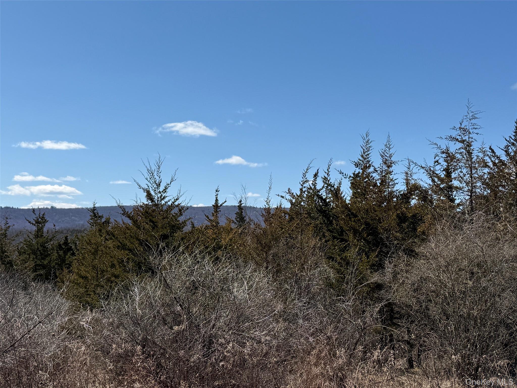 #9 photo, #2 Lot #2 Westerly Ridge Drive, Amenia , NY 12501