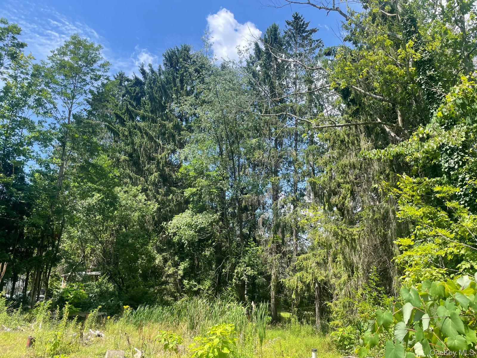 #2 photo, 33 Dudley Street Harveys Lake, Pennsylvania Street, Other , PA 18618