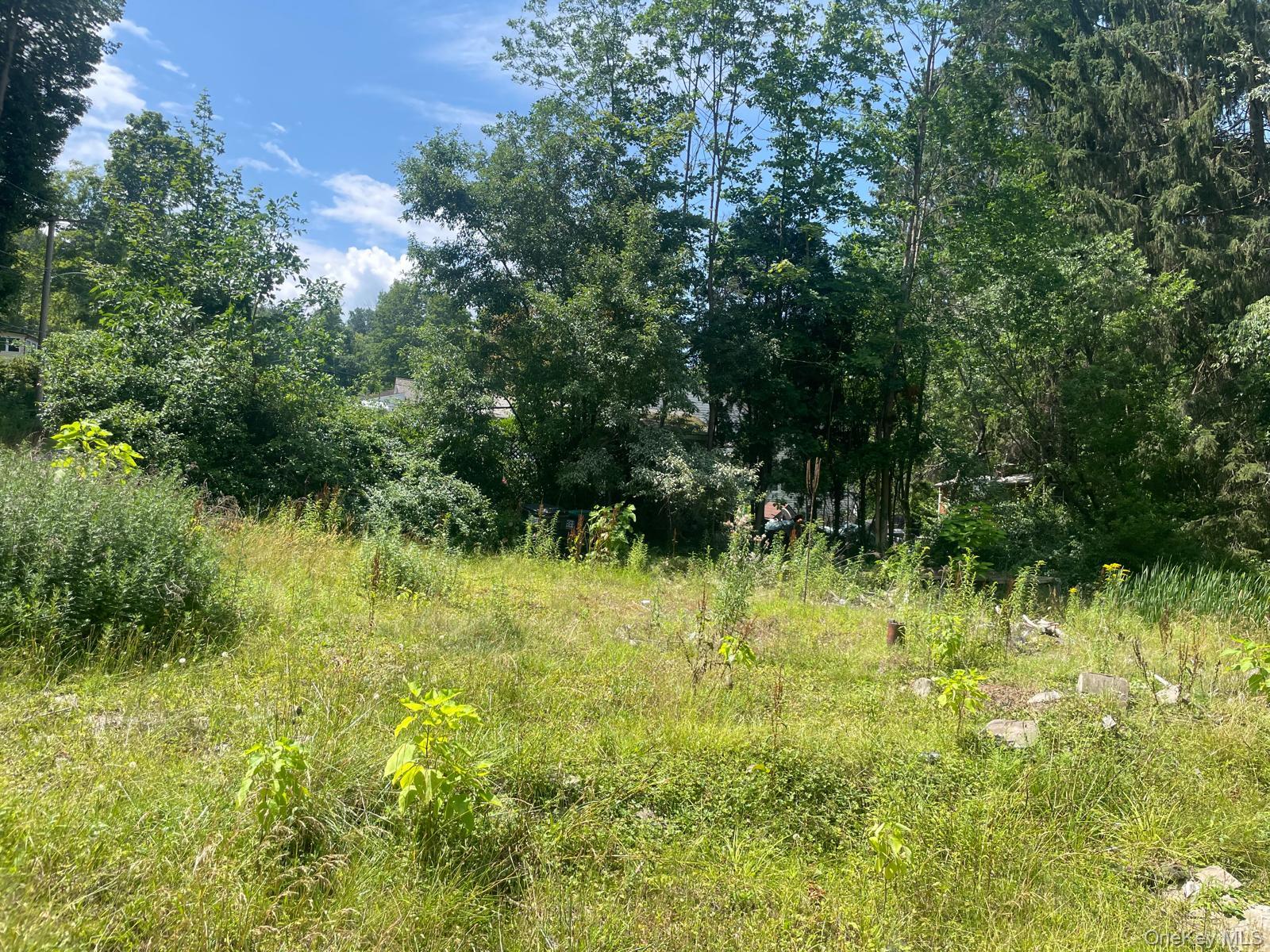 #3 photo, 33 Dudley Street Harveys Lake, Pennsylvania Street, Other , PA 18618