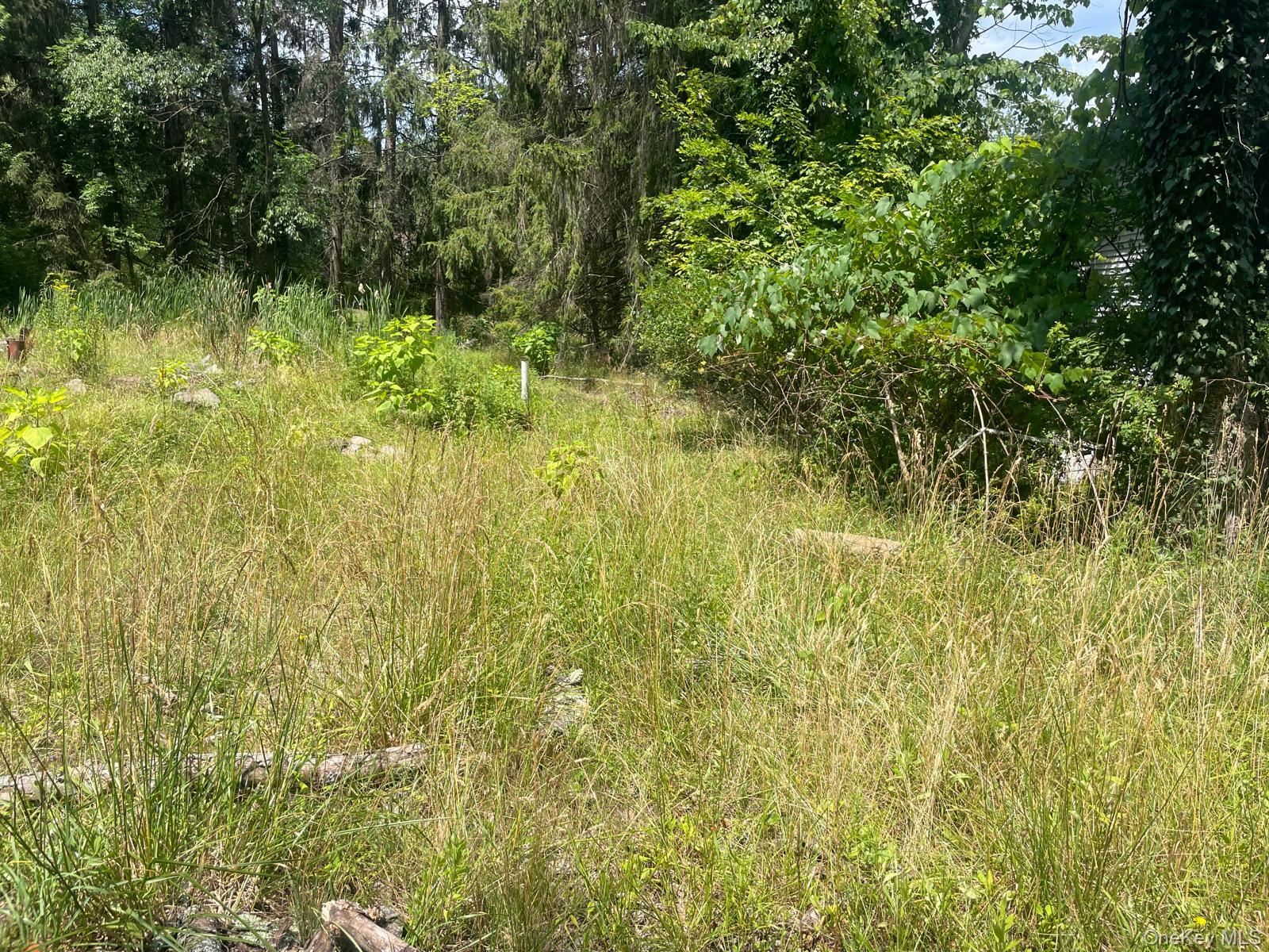 #4 photo, 33 Dudley Street Harveys Lake, Pennsylvania Street, Other , PA 18618