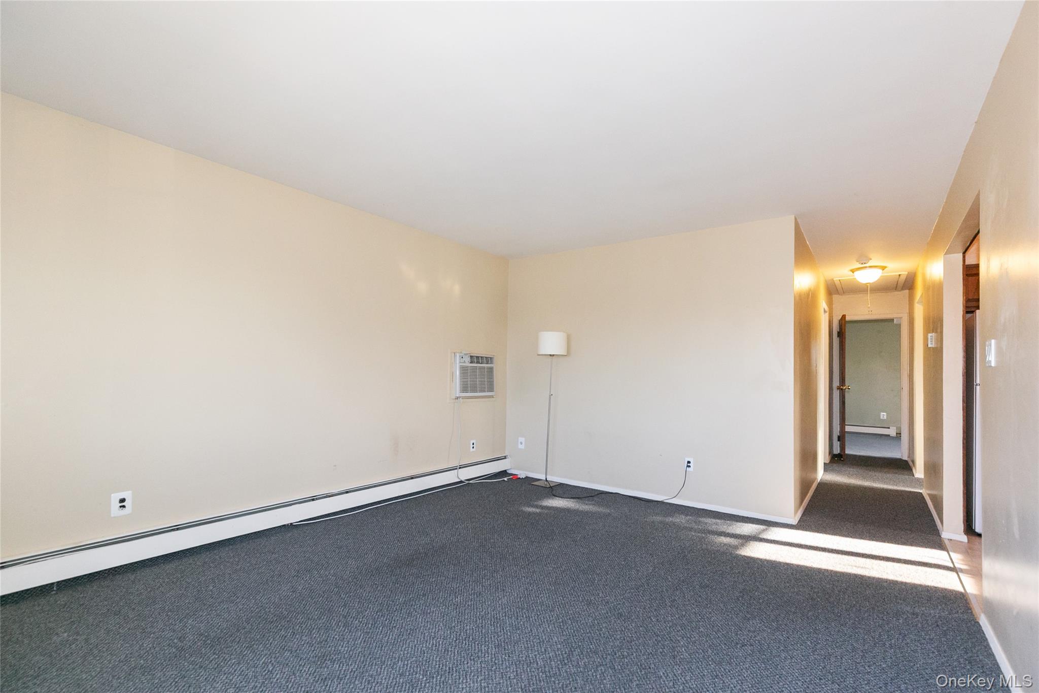 #9 photo, 254 N Richmond Avenue, 长岛 Massapequa , NY 11758
