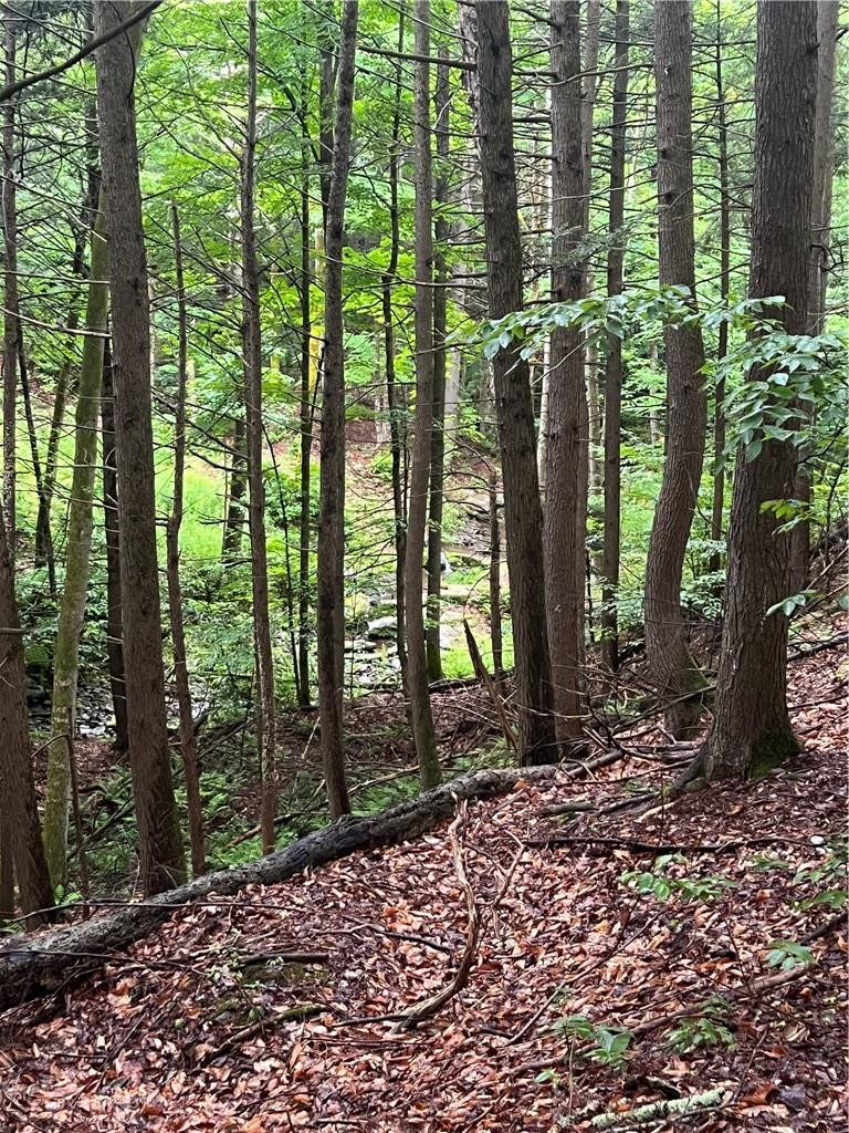 #10 photo, 000 Little Hollow Road, Grahamsville , NY 12740