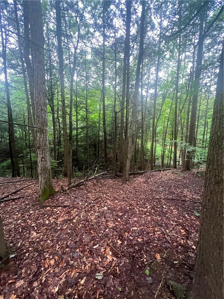 #11 photo, 000 Little Hollow Road, Grahamsville , NY 12740