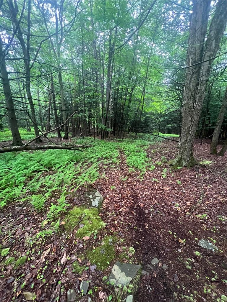 #12 photo, 000 Little Hollow Road, Grahamsville , NY 12740