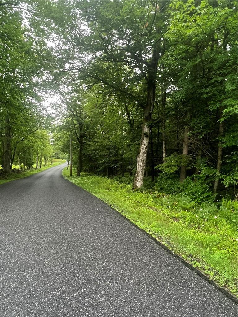#13 photo, 000 Little Hollow Road, Grahamsville , NY 12740