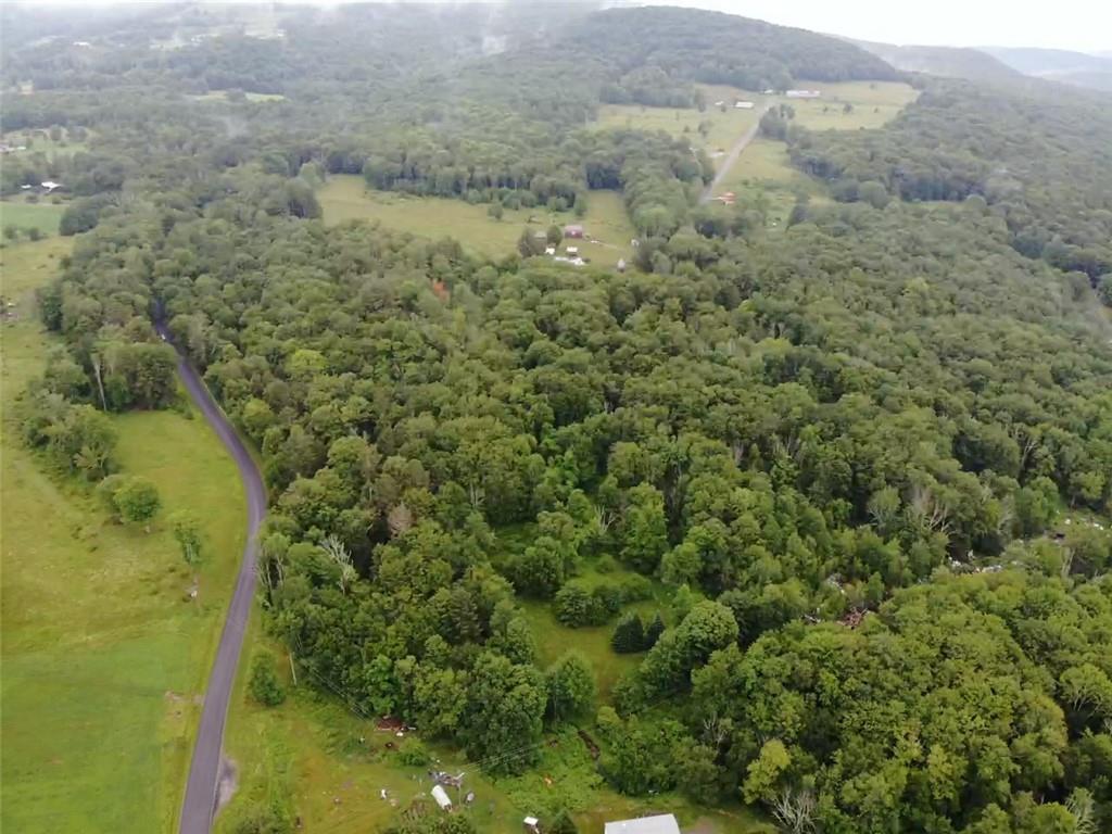 #19 photo, 000 Little Hollow Road, Grahamsville , NY 12740