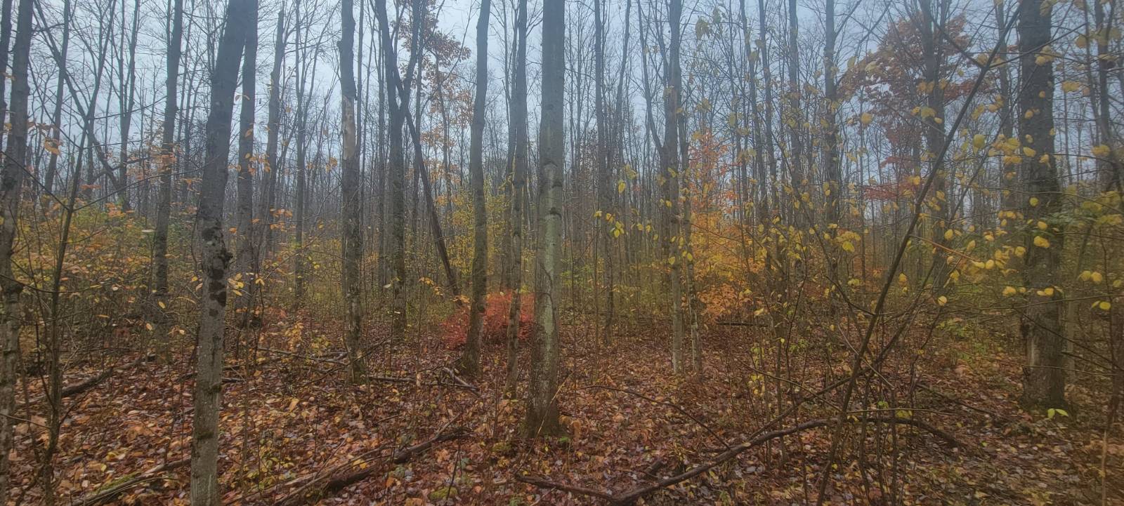 #10 photo, 00 St Rt 13, Pulaski , NY 13142