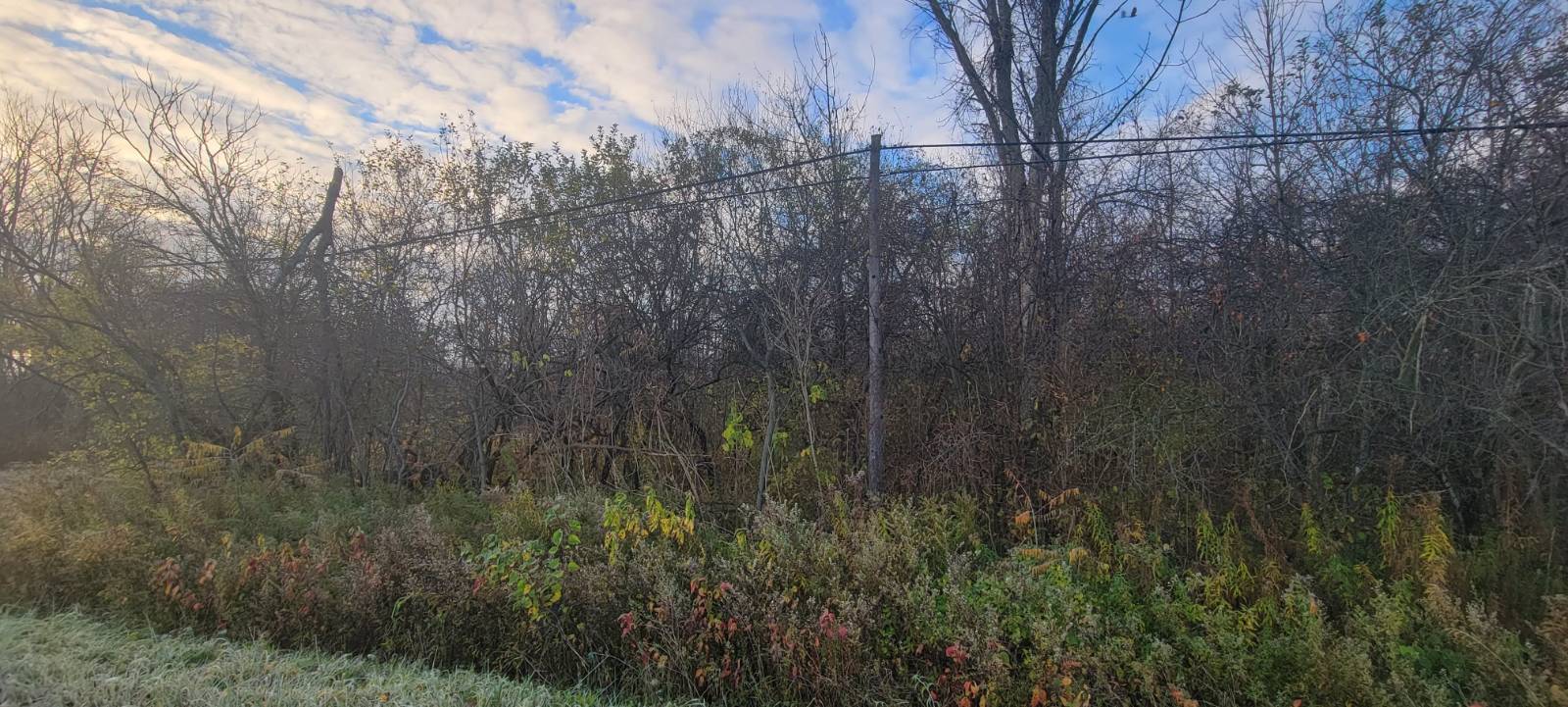 #12 photo, 00 St Rt 13, Pulaski , NY 13142