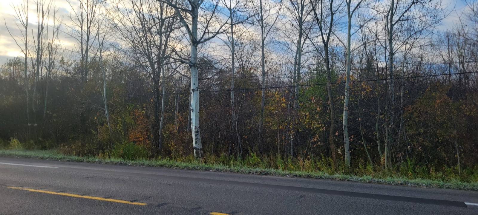 #2 photo, 00 St Rt 13, Pulaski , NY 13142