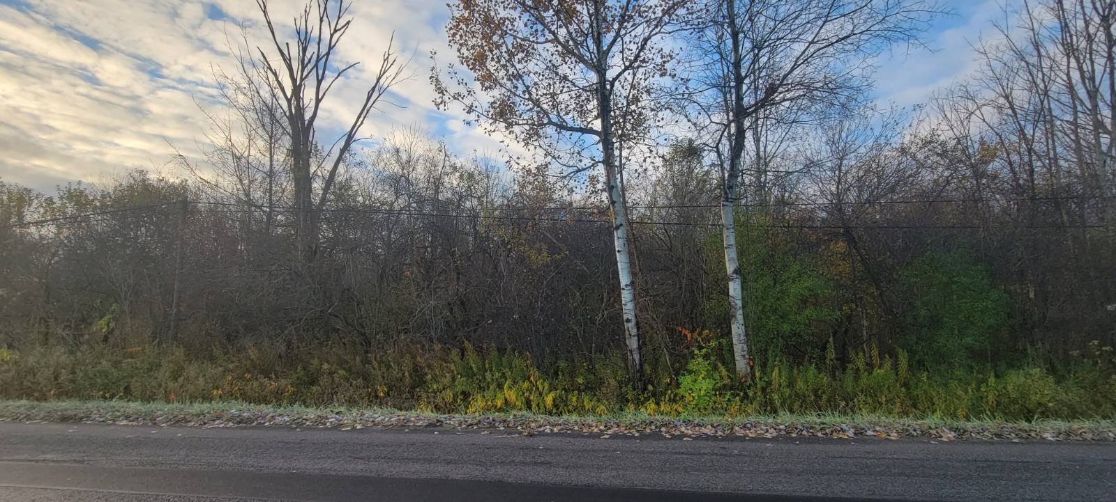 #3 photo, 00 St Rt 13, Pulaski , NY 13142