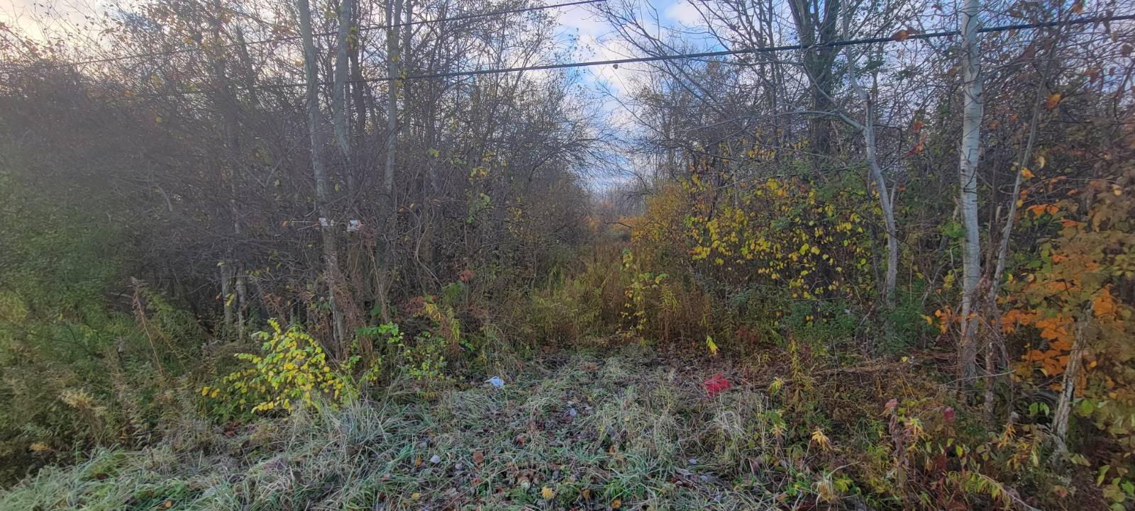 #7 photo, 00 St Rt 13, Pulaski , NY 13142