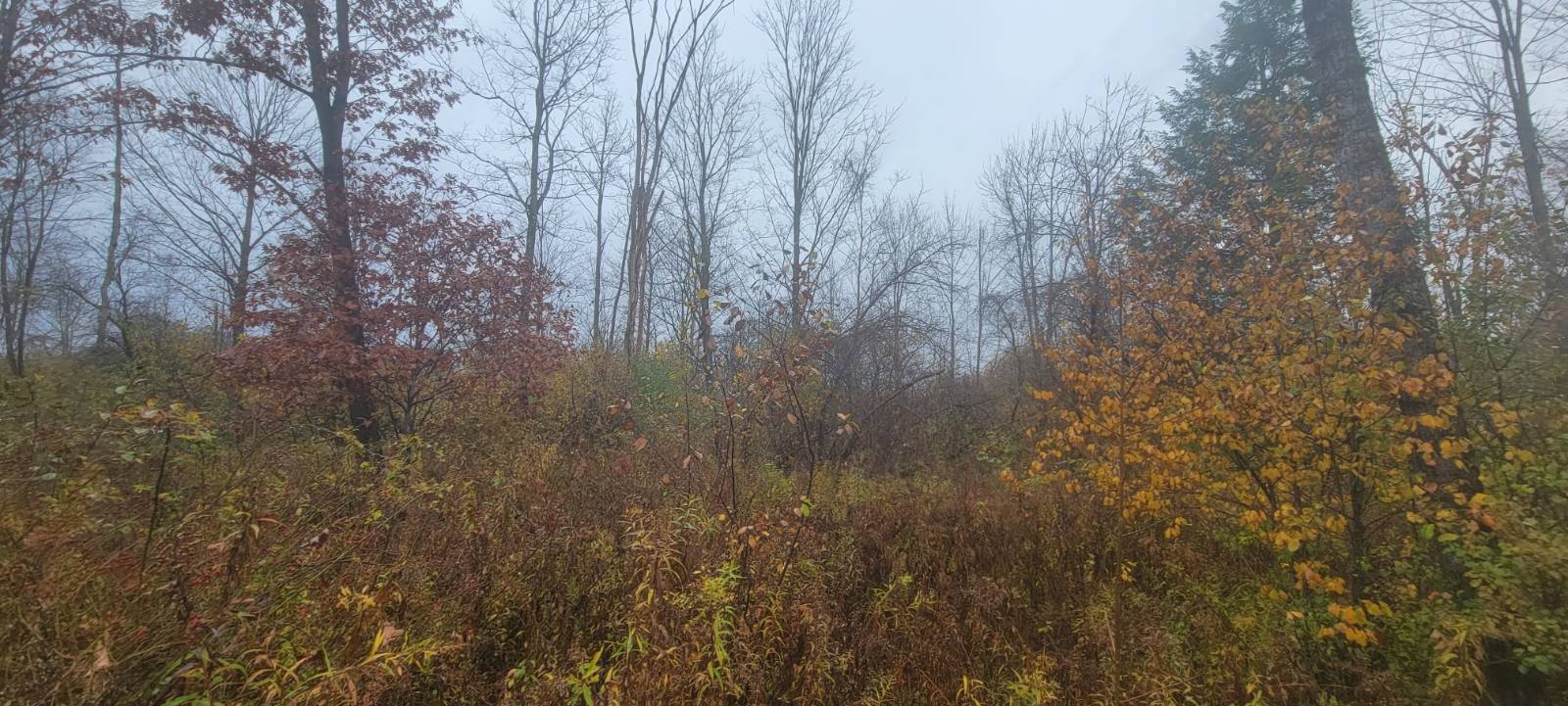 #9 photo, 00 St Rt 13, Pulaski , NY 13142