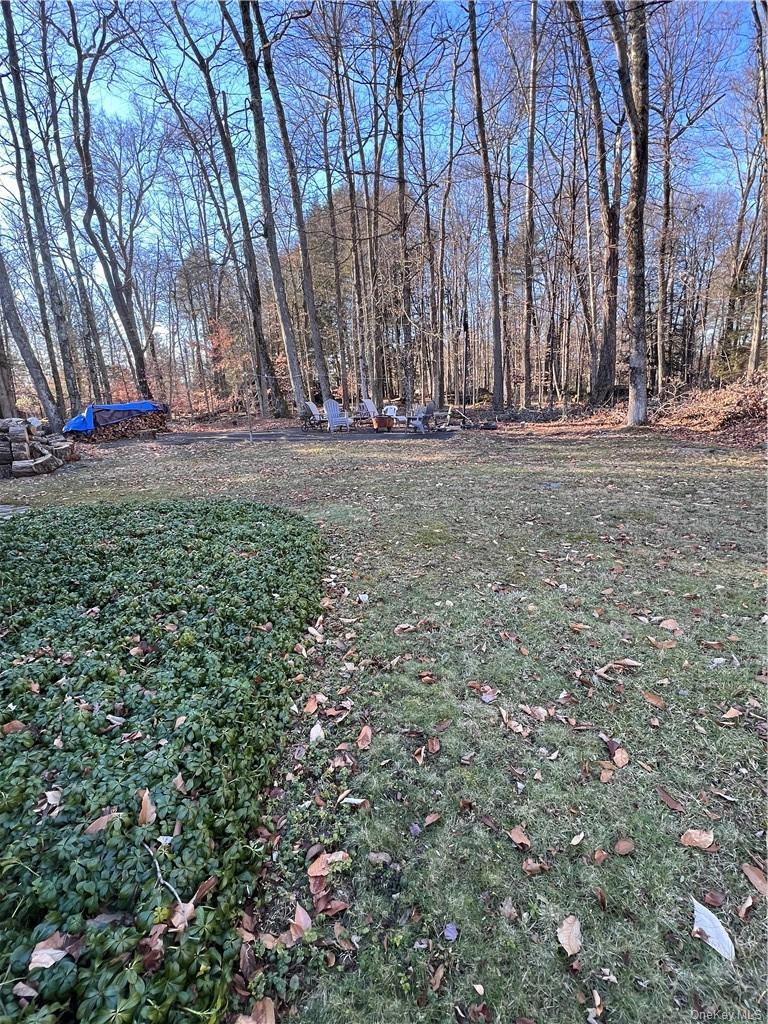 #14 photo, 45 W Adirondack Trail, Smallwood , NY 12778