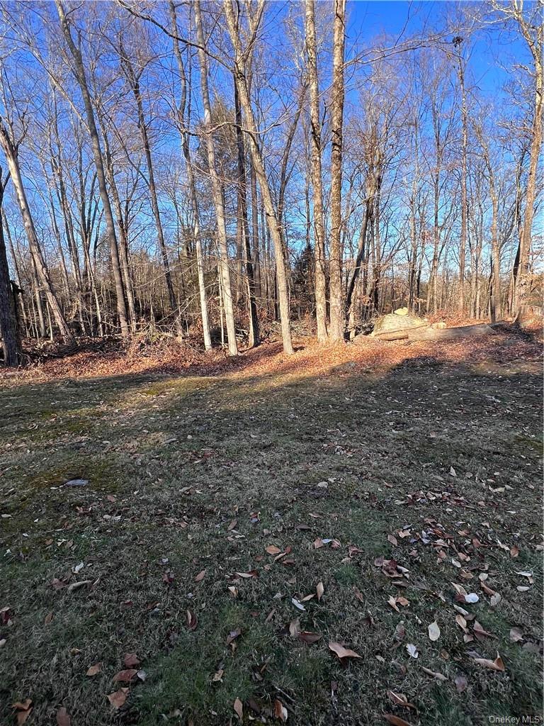 #17 photo, 45 W Adirondack Trail, Smallwood , NY 12778