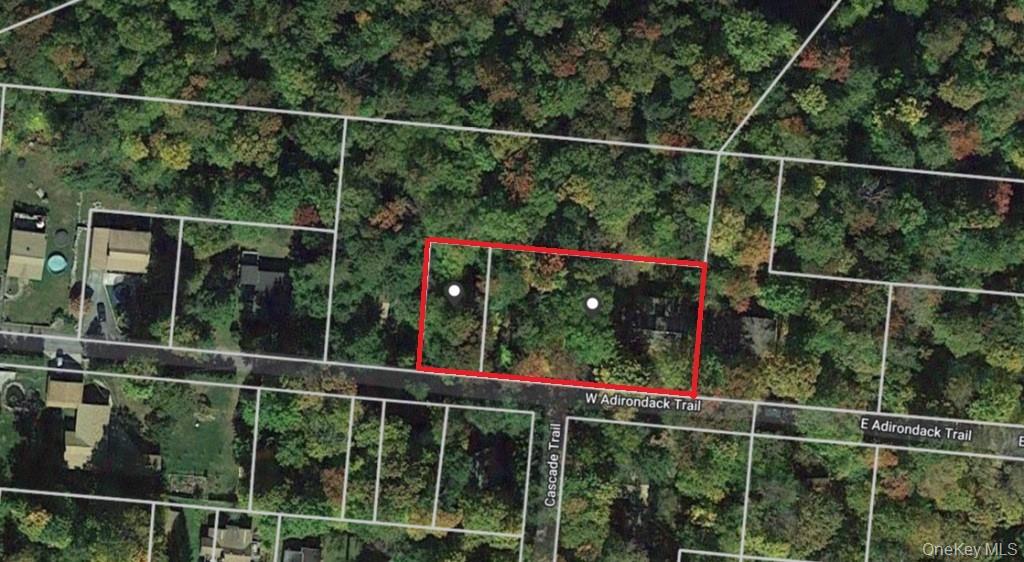 #18 photo, 45 W Adirondack Trail, Smallwood , NY 12778