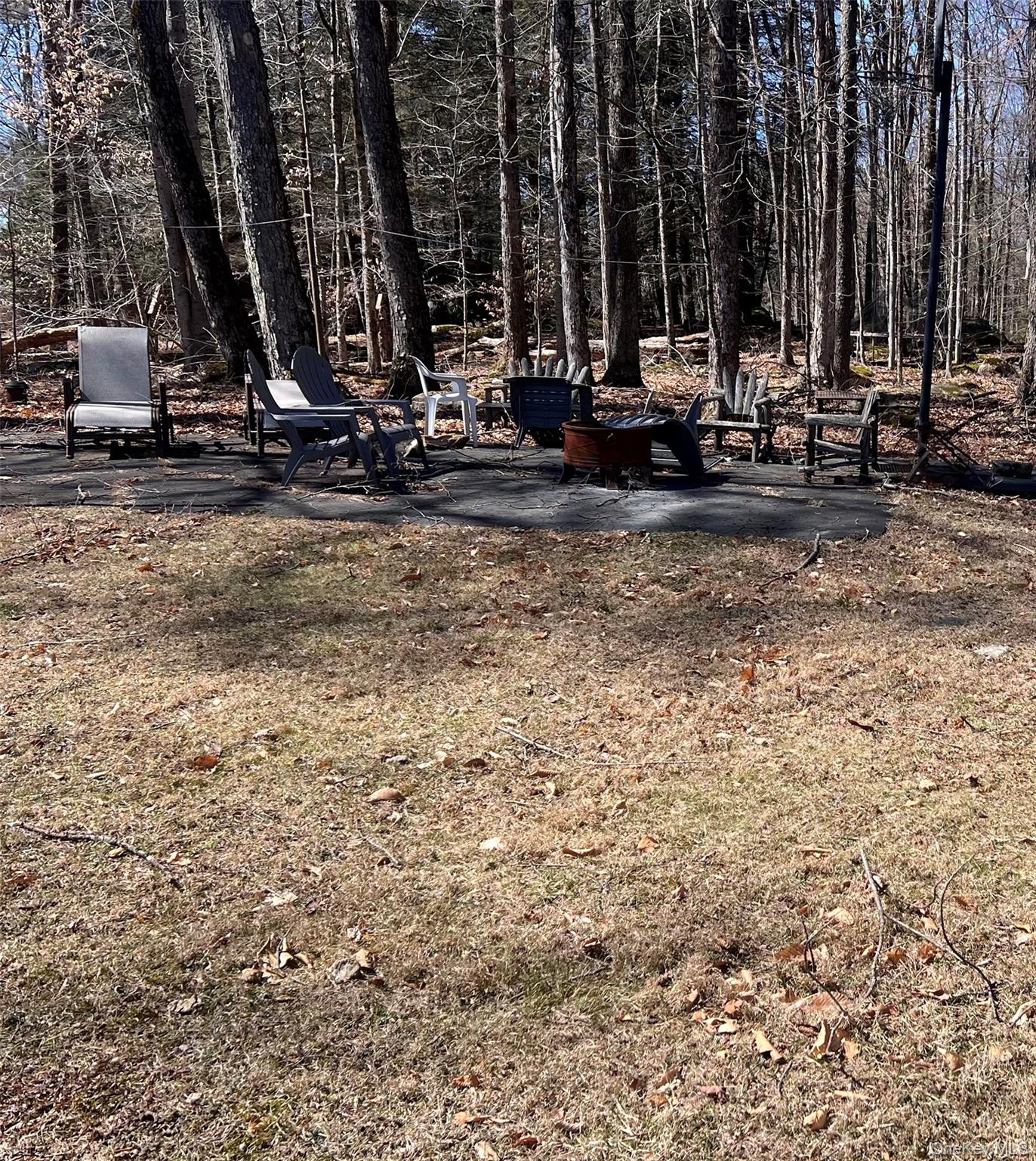 #20 photo, 45 W Adirondack Trail, Smallwood , NY 12778