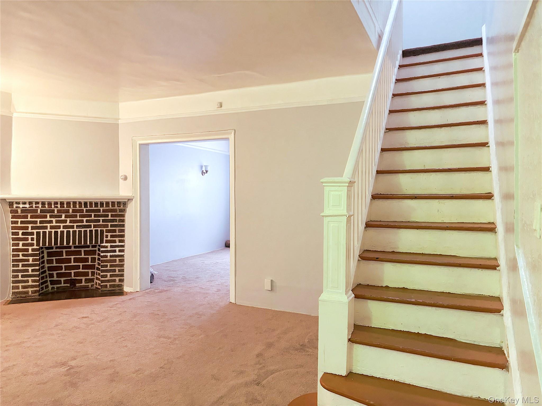 #7 photo, 3349 Bouck Avenue, Bronx , NY 10469