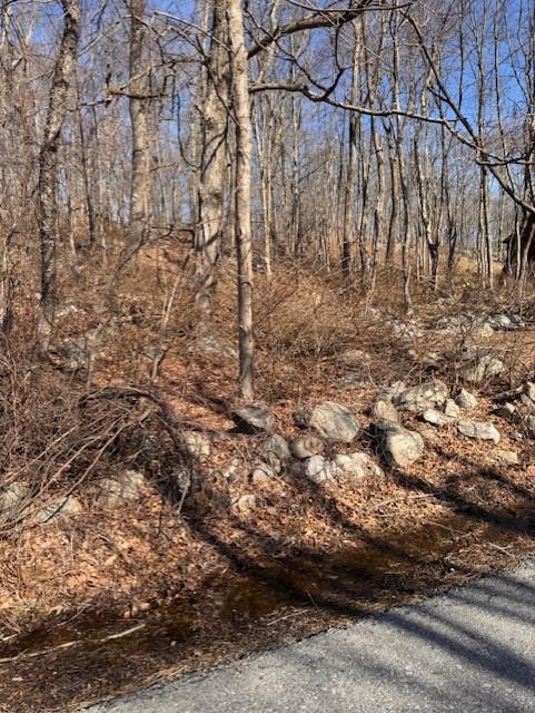 #3 photo, 110 Rushmore Road, Hopewell Junction , NY 12582