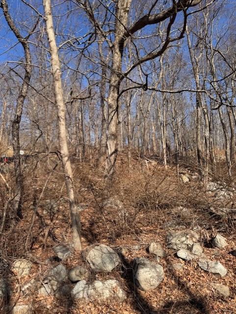 #4 photo, 110 Rushmore Road, Hopewell Junction , NY 12582