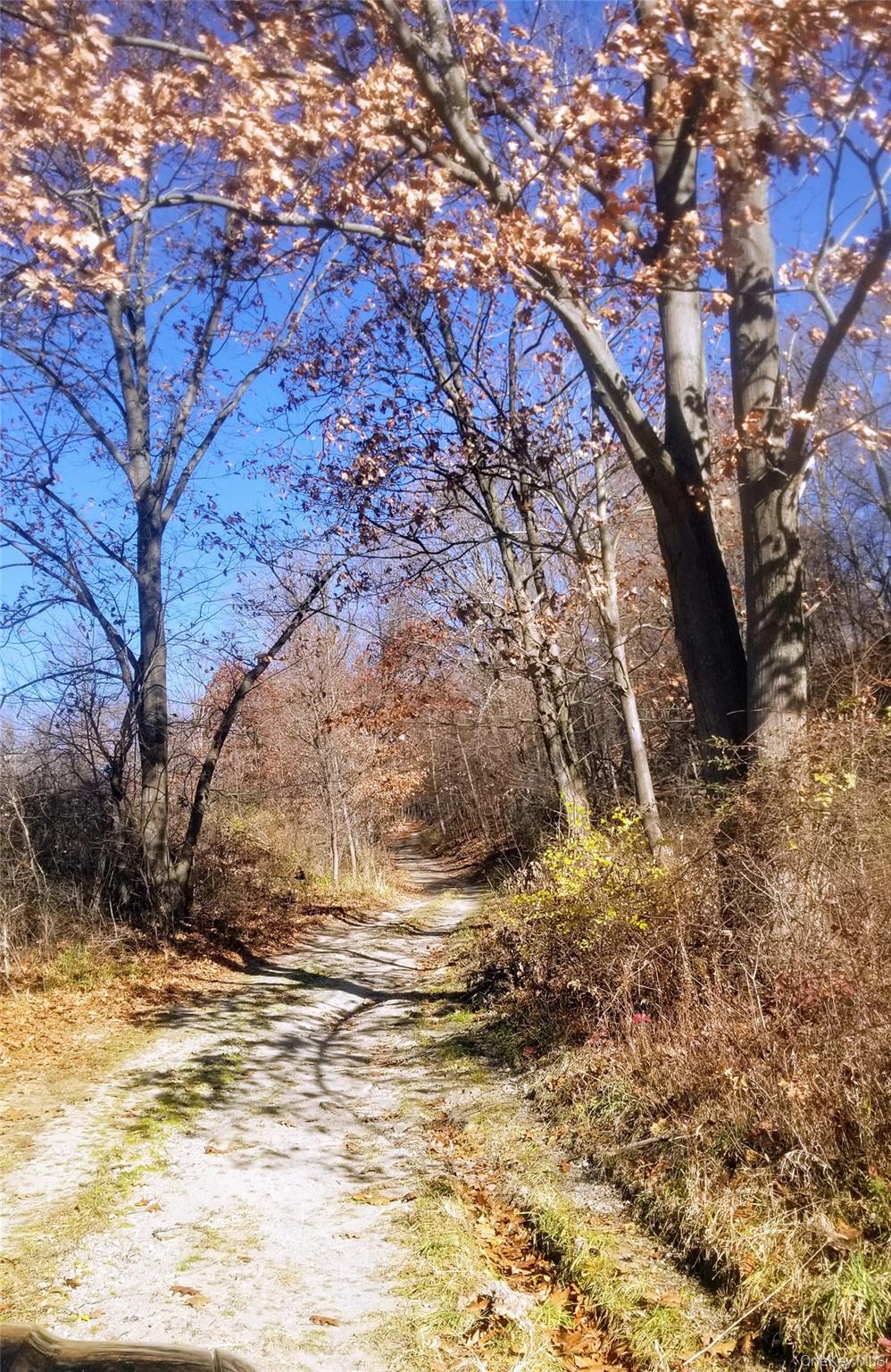 #11 photo, State Line Road, Westtown , NY 10998