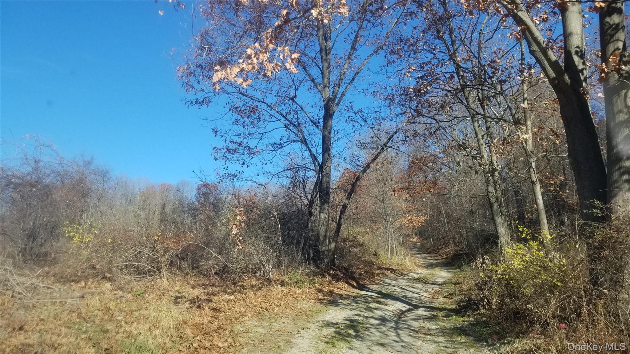 #12 photo, State Line Road, Westtown , NY 10998