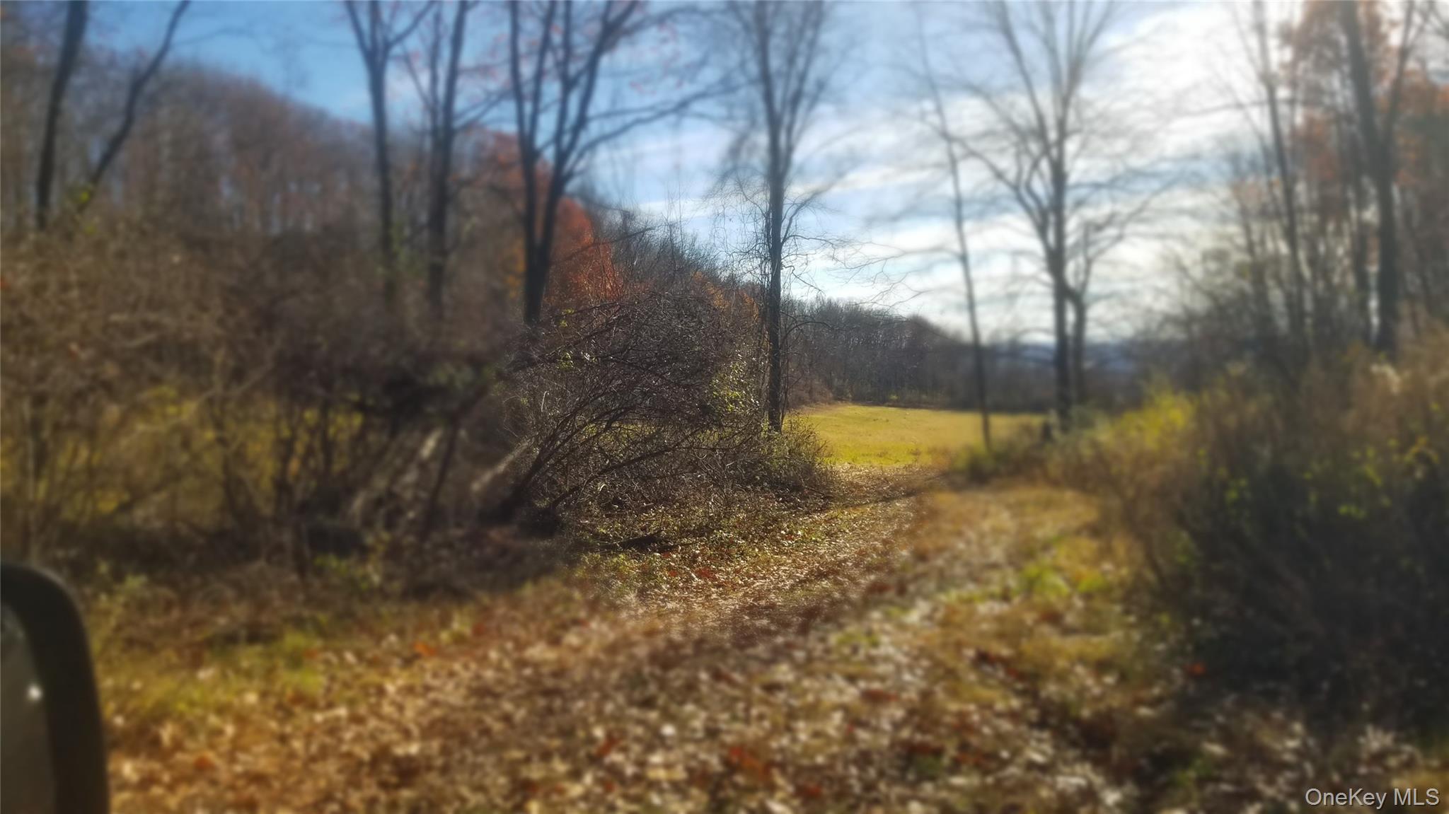 #13 photo, State Line Road, Westtown , NY 10998