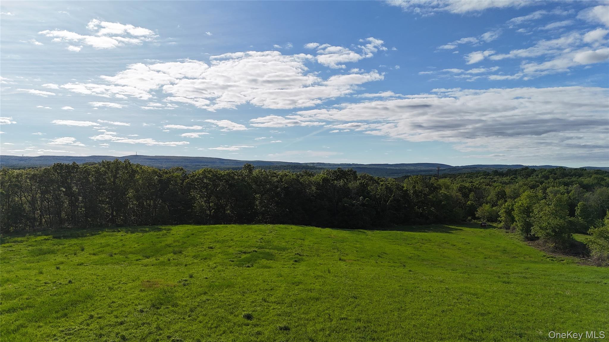 #8 photo, State Line Road, Westtown , NY 10998