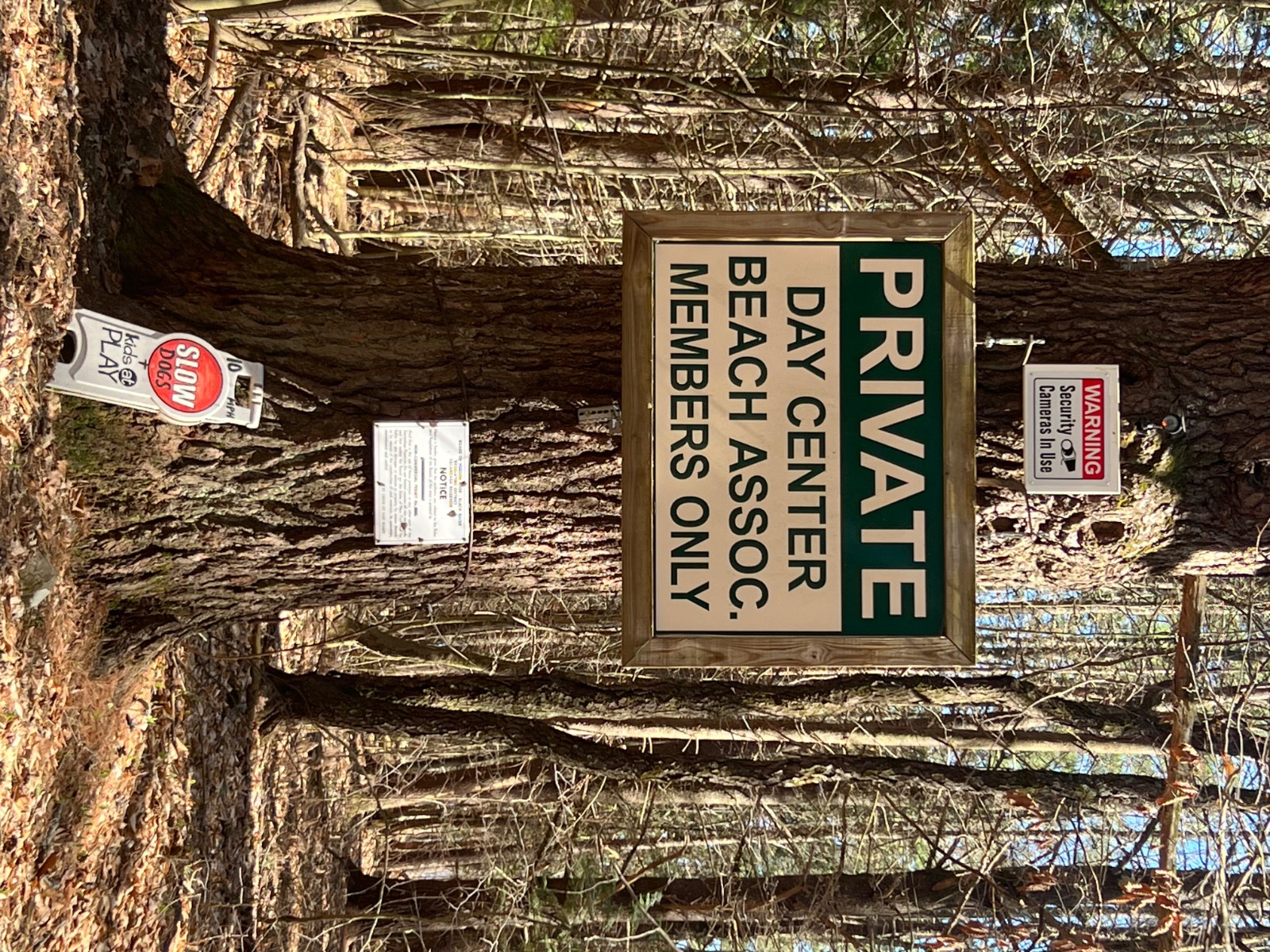 #14 photo, 1609 N SHORE, Hadley , NY 12835