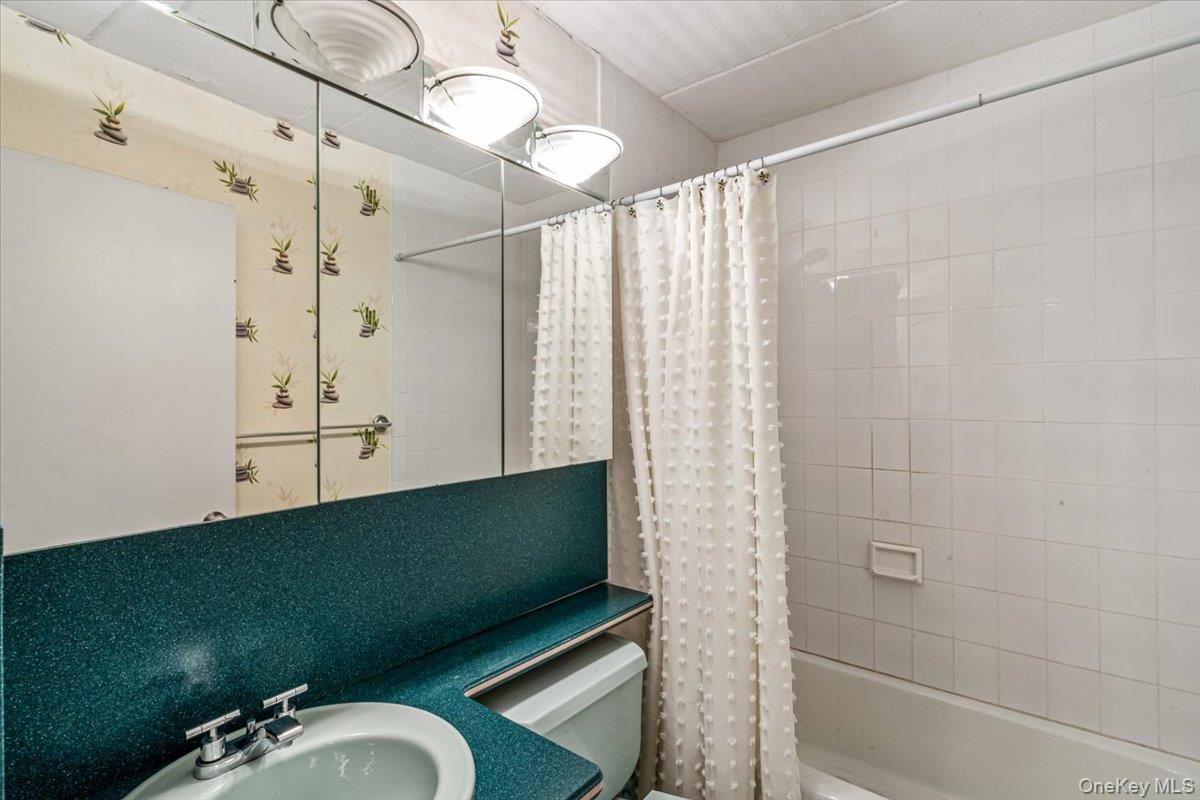 #13 photo, 97-12 63rd Drive, クイーンズ区 Rego Park , NY 11374